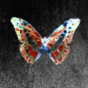 Colored Butterfly 1