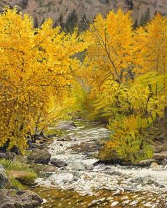 Fall On Baer Creek