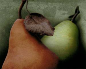 Fresco Crossed Pears