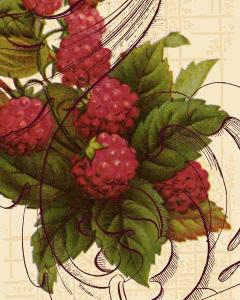 Scrolled Raspberries