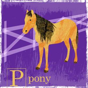 Pony Friend