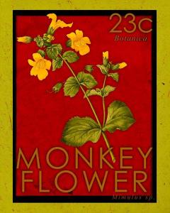 Monkey Flower Stamp