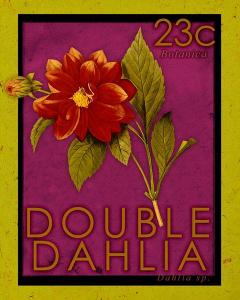 Double Dahlia Stamp