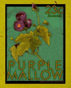 Purple Mallow Stamp