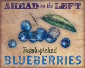 Roadside Blueberries