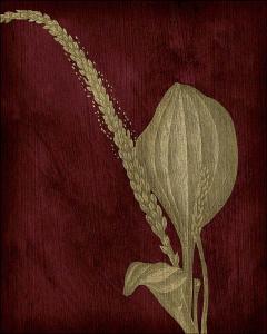 Etched Plants-Seeds