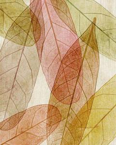 Leaves Intersecting- Warm 1