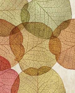 Leaves Intersecting- Warm 2