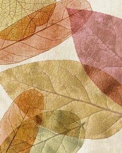 Leaves Intersecting- Warm 3