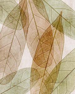 Leaves Intersecting- Neutral 1