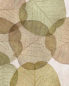 Leaves Intersecting- Neutral 2