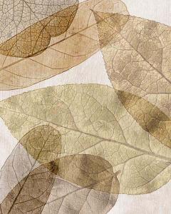 Leaves Intersecting- Neutral 3