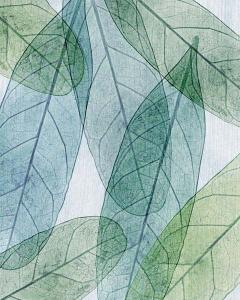 Leaves Intersecting- Cool 1
