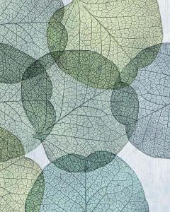 Leaves Intersecting- Cool 2