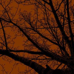 Twilight Trees Rust Left