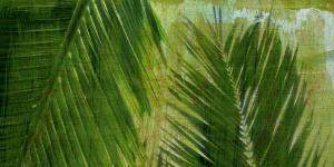 Palms Triptych Top