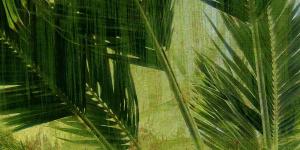 Palms Triptych Bottom