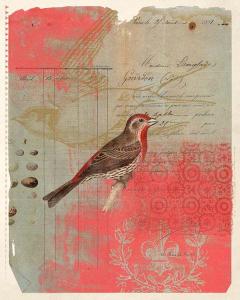Red Aviary Page