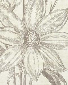 Floral Engraving 5