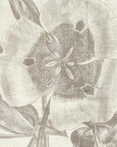 Floral Engraving 8