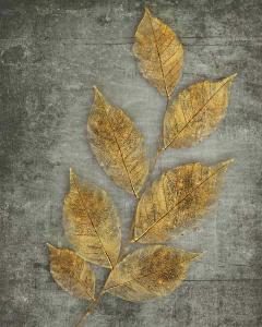 Golden Leaves 1