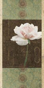 Carte Postale Roses 2