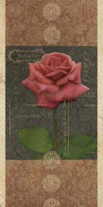 Carte Postale Roses 4