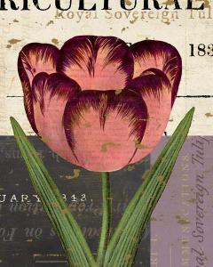 Floricultural Cabinet 1835 8