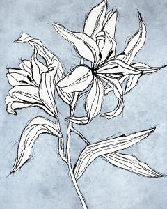Sketched Floras on Blue 1