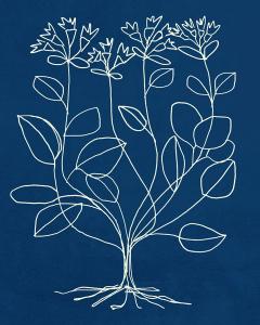 Loose Botanical 6 on Blue