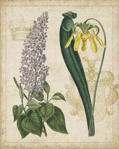 Botanical Repertoire IV