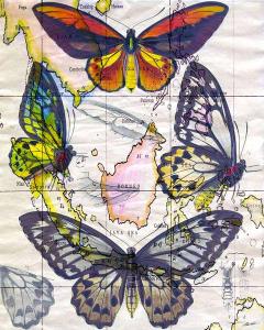 Butterfly Map IV