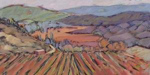 South Of France Vineyard