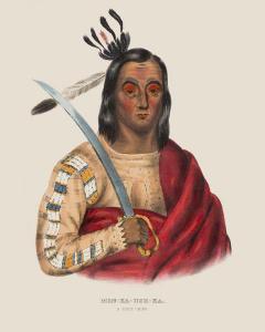 Mon-Ka-Ush-Ka A Sioux Chief