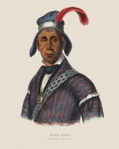 Yaha-Hajo A Seminole War Chief