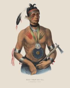 Hoo-Wan-Ne-Ka A Winnebago Chief