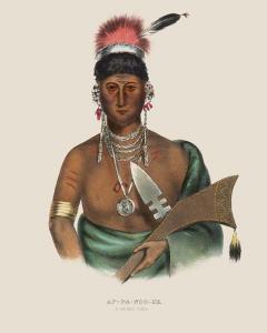 Ap-Pa-Noo-se A Saukie Chief