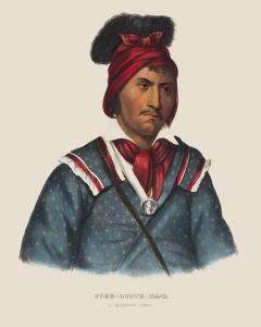 Foke-Luste-Hajo A Seminole Chief
