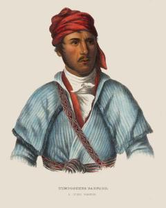 Timpoochee Barnard A Uchee Warrior