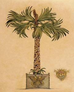 Palm Tree 1