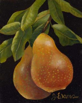 Pair of Golden Pears