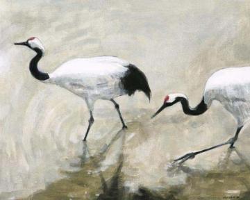 Wading Cranes