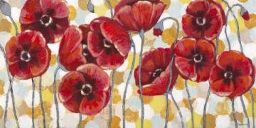 Sunglow Poppies