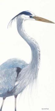 Blue Heron Pose I