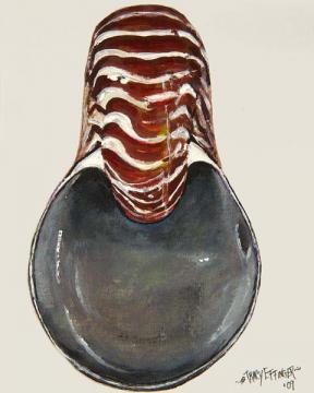 Nautilus Shell Front View Watercolor