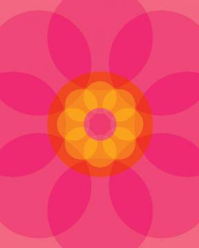 Pink Mod Flower Four