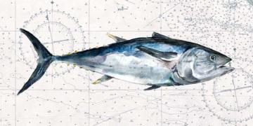 Deep Sea Watercolor Blue Fin Tuna