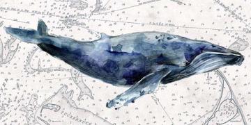 Deep Sea Watercolor Whale