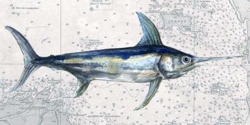 Deep Sea Watercolor Swordfish