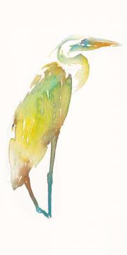 Golden Heron